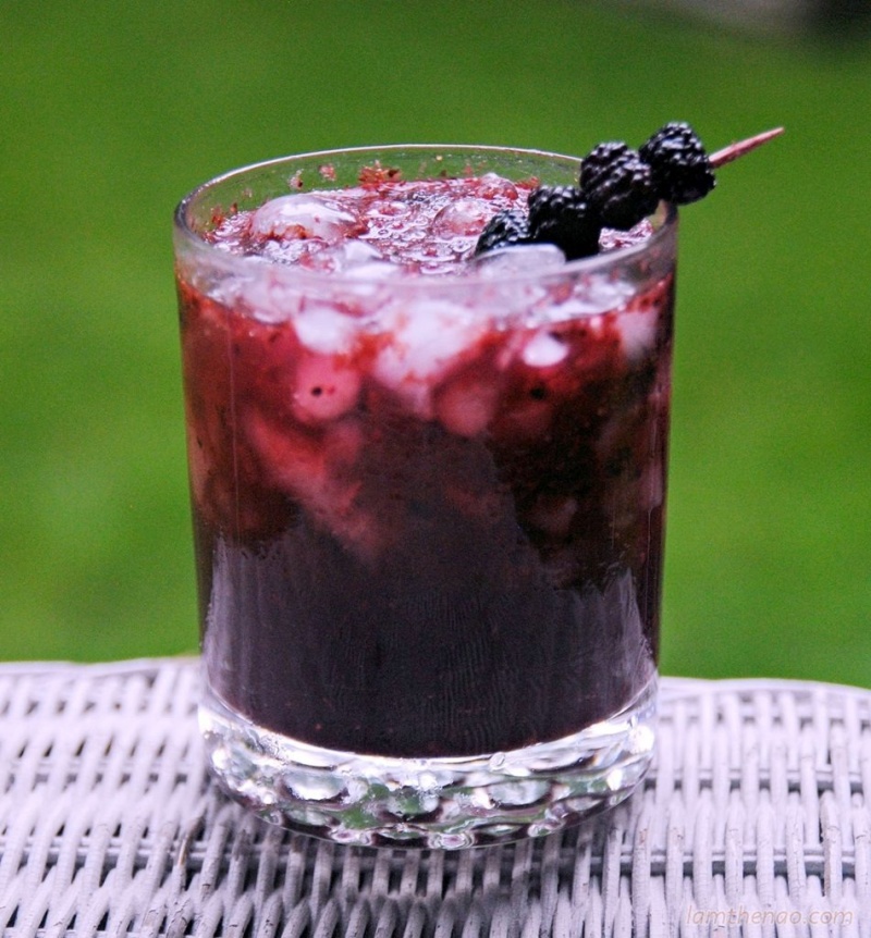 Chế biến dâu tằm cấp đông như thế nào, mua sỉ ở đâu?