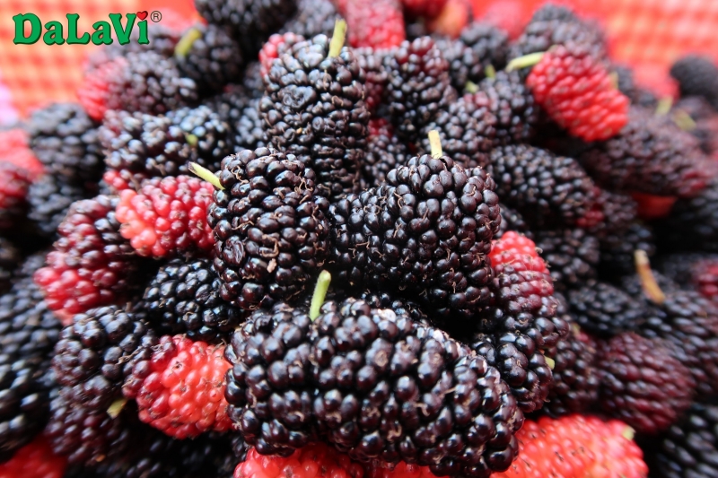 Giá 1 kg dâu tằm Lâm Đồng cập nhật hôm nay là bao nhiêu